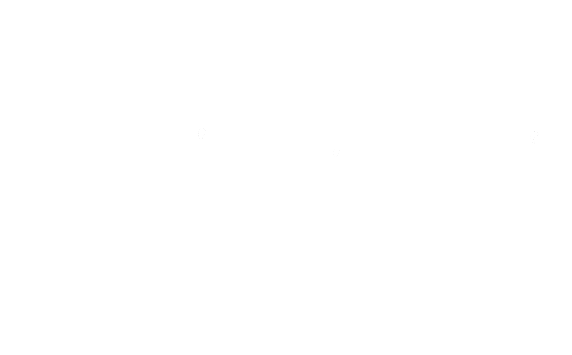 Madagascar Escape Specialist